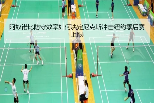 阿奴诺比防守效率如何决定尼克斯冲击纽约季后赛上限